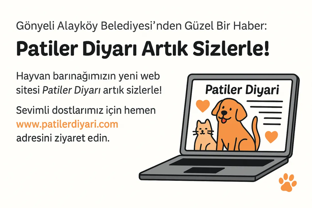Gönyeli Alayköy Belediyesi’nden Sevimli Bir Haber: Patiler Diyarı Yayında!