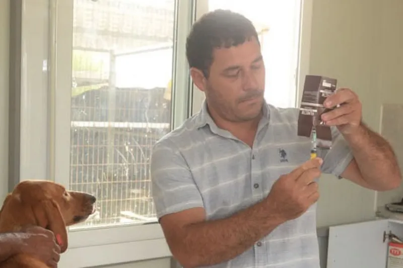 Sterilization efforts have begun in collaboration with Gönyeli-Alayköy and NETAP.